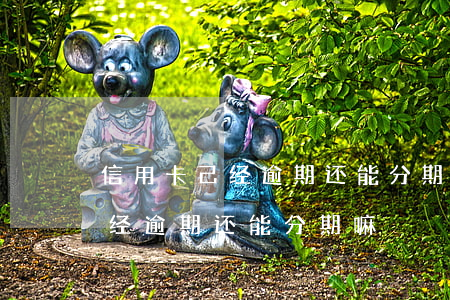 信用卡己经逾期还能分期嘛怎么办（信用卡己经逾期还能分期嘛）