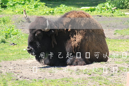信用卡己起訴還可以和銀行協(xié)商嗎-信用卡己起訴還可以和銀行協(xié)商嗎怎么辦