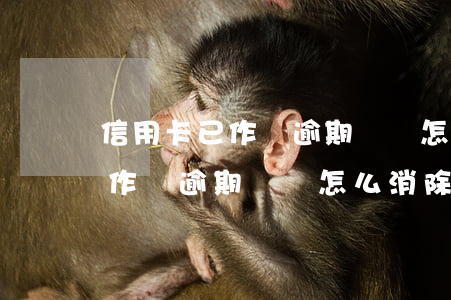 信用卡已作廢逾期記錄怎么消除-信用卡已作廢逾期記錄怎么消除掉