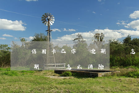 信用卡已作廢逾期記錄怎么消除(有信用卡逾期記錄怎么消除)