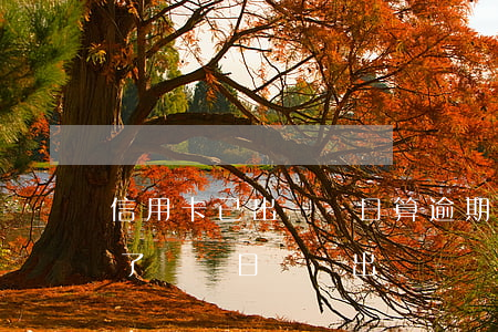 信用卡已出賬單日算逾期嗎(為什么信用卡到了賬單日還沒出賬單)