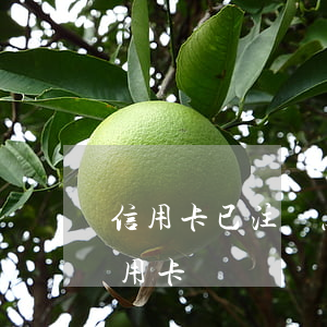 信用卡已注銷怎么查詢逾期(注銷逾期過的信用卡)