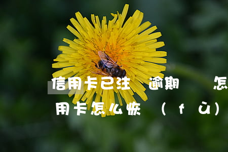 信用卡已注銷逾期記錄怎么辦(逾期停用的信用卡怎么恢復(fù))