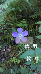 信用卡已經(jīng)協(xié)商還款中途還不上(信用卡已經(jīng)協(xié)商還款中途還不上)