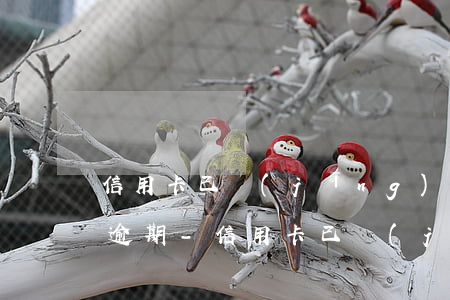 信用卡已經(jīng)最低還款了還顯示逾期-信用卡已經(jīng)最低還款了顯示逾期的了會(huì)起訴嗎?