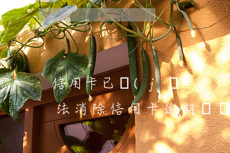 信用卡已經(jīng)消除逾期(有什么辦法消除信用卡逾期記錄)