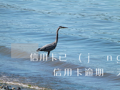 信用卡已經(jīng)逾期2年一分錢沒還(還信用卡逾期一天沒事吧)