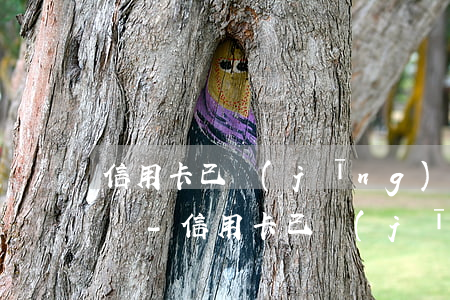信用卡已經(jīng)逾期30天了怎么辦-信用卡已經(jīng)逾期30天了怎么辦呢