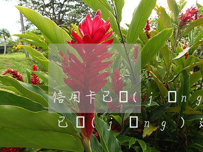 信用卡已經(jīng)逾期一萬六 信用卡已經(jīng)逾期一萬六怎么還