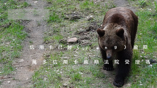 信用卡已經(jīng)逾期一萬怎么辦(一萬多信用卡逾期法院受理嗎)
