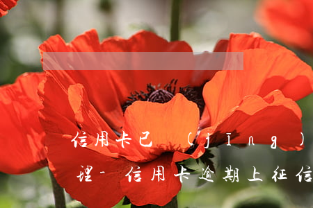 信用卡已經(jīng)逾期上征信怎么處理-信用卡 逾期 上征信