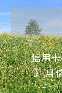 信用卡已經(jīng)逾期了一個(gè)月(信用卡逾期了半個(gè)月)