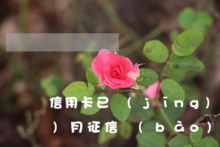 信用卡已經(jīng)逾期了一個(gè)月(征信報(bào)告有一個(gè)月的信用卡逾期)