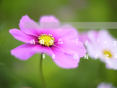 信用卡已經(jīng)逾期了三十萬怎么辦(30萬信用卡逾期)