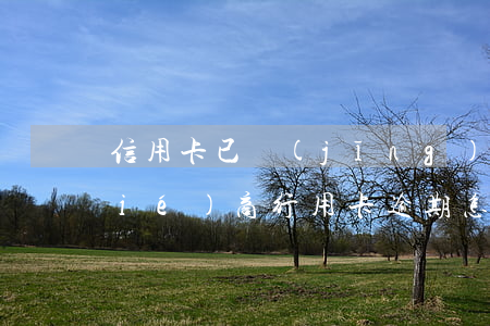 信用卡已經(jīng)逾期了怎么協(xié)商(行用卡逾期怎么協(xié)商)