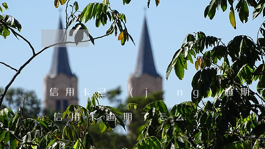 信用卡已經(jīng)逾期了怎么辦理(辦信用卡逾期了怎么辦)