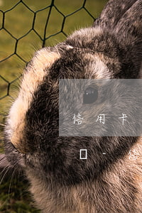 信用卡已經(jīng)逾期了還不上怎么辦-信用卡逾期還不上
