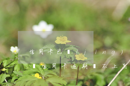 信用卡已經(jīng)逾期了還不上怎么辦(信用卡逾期還不上怎么辦用什么辦法解決)