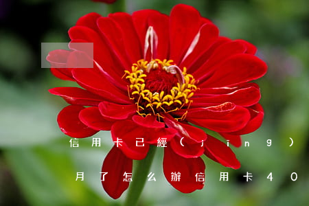 信用卡已經(jīng)逾期四個(gè)月了怎么辦(信用卡4000逾期三個(gè)月)