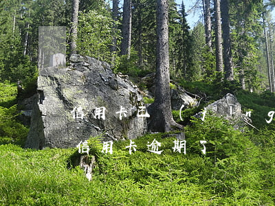 信用卡已經(jīng)逾期怎么能分期(我信用卡逾期了)