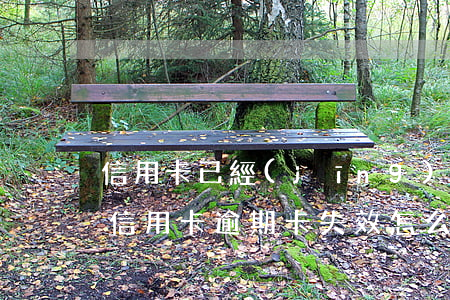 信用卡已經(jīng)逾期補(bǔ)救(信用卡逾期卡失效怎么還)