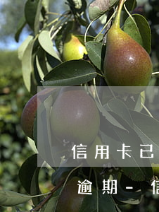 信用卡已經(jīng)還上為什么還顯示逾期-信用卡已經(jīng)還上為什么還顯示逾期了