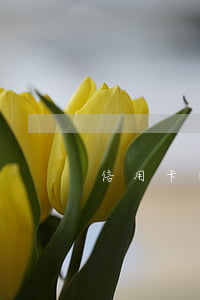 信用卡已經(jīng)還款仍顯示逾期
