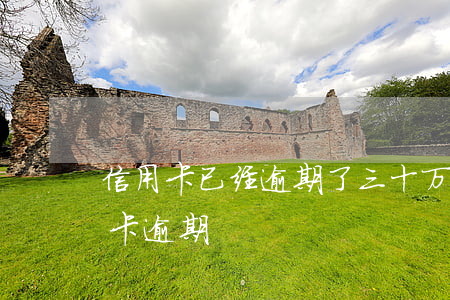 信用卡已经逾期了三十万怎么办(30万信用卡逾期)