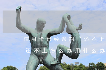 信用卡已经逾期了还不上怎么办(信用卡逾期还不上怎么办用什么办法解决)