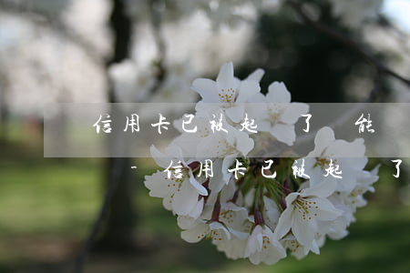 信用卡已被起訴了還能協(xié)商還款嗎-信用卡已被起訴了還能協(xié)商還款嗎知乎