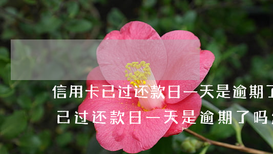 信用卡已过还款日一天是逾期了吗-信用卡已过还款日一天是逾期了吗怎么办