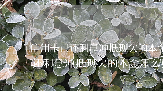 信用卡已还利息冲抵现欠的本金-信用卡已还利息冲抵现欠的本金怎么算