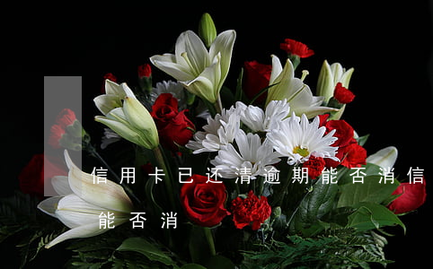 信用卡已还清逾期能否消(信用卡已还清逾期能否消)