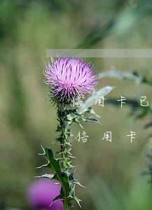 信用卡已逾期一天會(huì)影響什么-信用卡已逾期一天會(huì)影響什么嗎