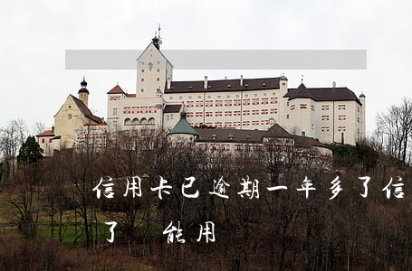 信用卡已逾期一年多了(信用卡已逾期一年多了還能用嗎)