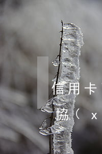 信用卡已逾期一年多(信用卡逾期一年多了能協(xié)商還本金嗎)