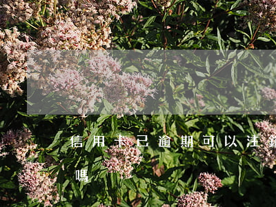 信用卡已逾期可以注銷嗎(信用卡逾期能注銷嗎)