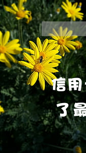 信用卡已逾期后還了最低(信用卡已逾期后還了最低利息)