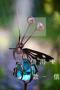 信用卡已逾期如何申請(qǐng)免息還款-信用卡已逾期如何申請(qǐng)免息還款呢