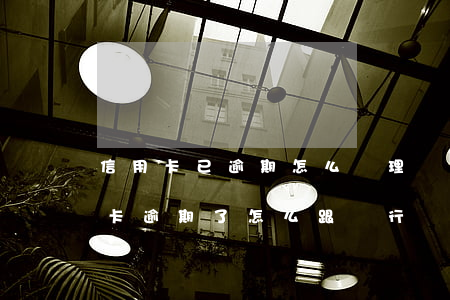 信用卡已逾期怎么處理協(xié)商(“信用卡逾期了怎么跟銀行協(xié)商解決”)