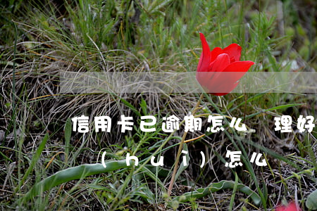 信用卡已逾期怎么處理好(如果說信用卡逾期會(huì)怎么樣)