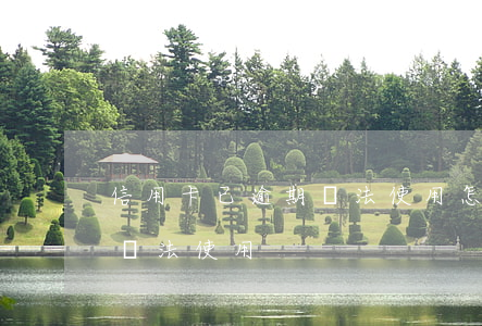 信用卡已逾期無法使用怎么辦（信用卡已逾期無法使用）