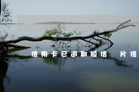 信用卡已逾期短信圖片(信用逾期的短信)