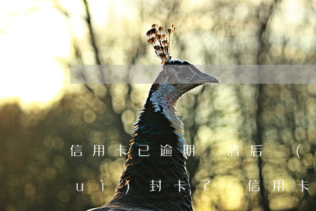 信用卡已逾期還清后會(huì)不會(huì)封卡了-信用卡已逾期還清后會(huì)不會(huì)封卡了呢