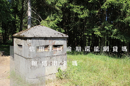信用卡已逾期還能網貸嗎(網貸有逾期過還能辦信用卡嗎)