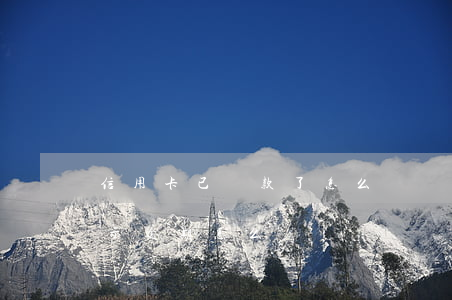 信用卡已還款了怎么還顯示逾期(還款了還顯示逾期怎么辦)
