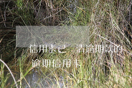 信用卡已還清逾期款的證明(憑釋放證明處理逾期信用卡)