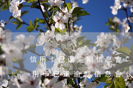 信用卡已還逾期信息會(huì)消除嗎(信用卡已還逾期信息會(huì)消除嗎)