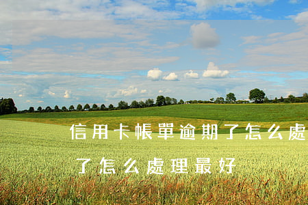信用卡帳單逾期了怎么處理 信用卡帳單逾期了怎么處理最好