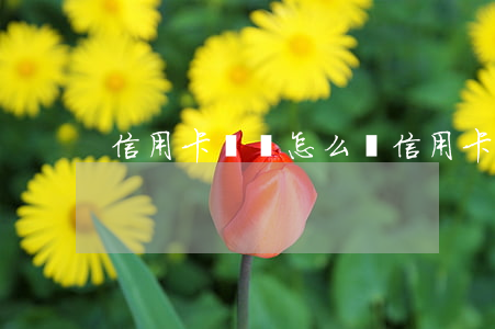 信用卡幣種怎么選(信用卡幣種怎么選購)